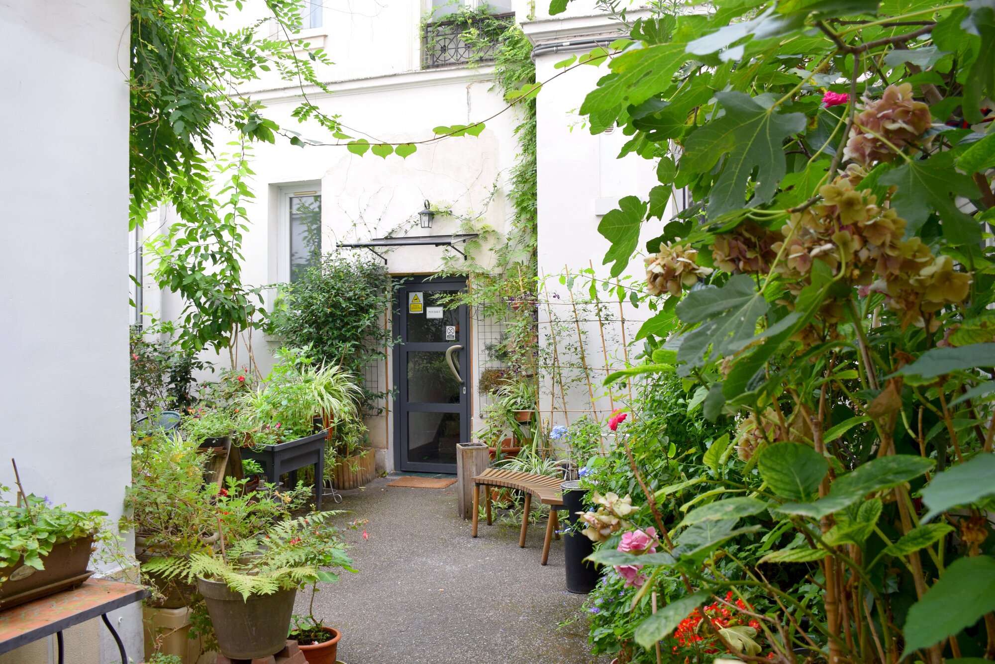 Cour intérieure verdoyante de l'hôtel