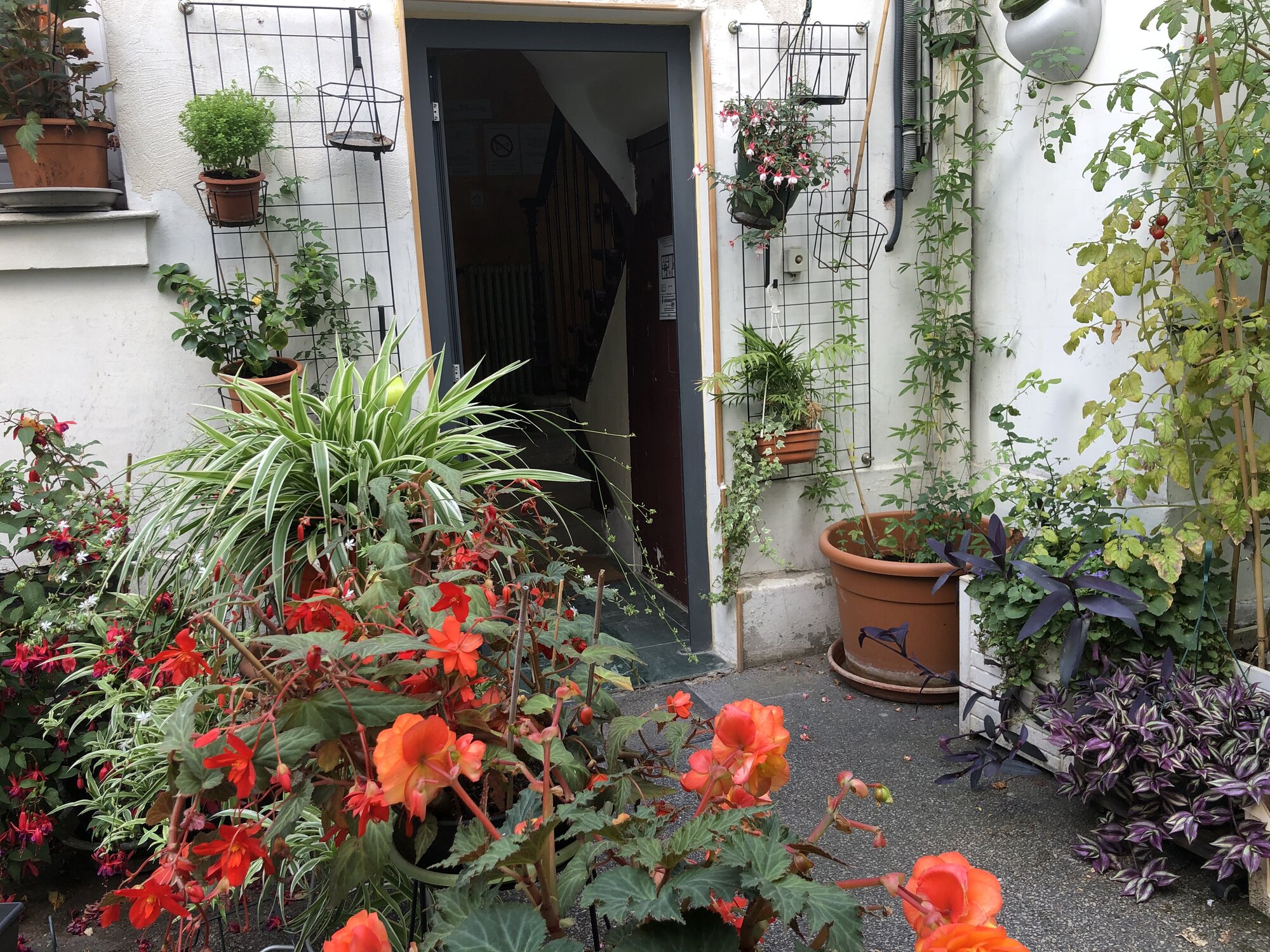 Jardin fleuri à l'entrée du bâtiment